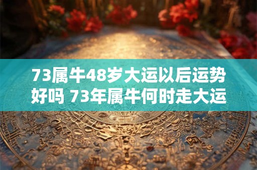 73属牛48岁大运以后运势好吗 73年属牛何时走大运