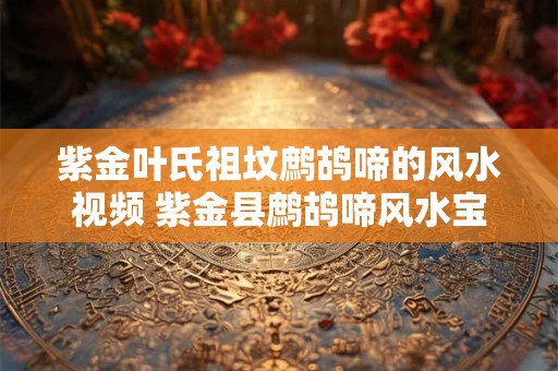 紫金叶氏祖坟鹧鸪啼的风水视频 紫金县鹧鸪啼风水宝地