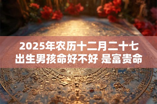 2025年农历十二月二十七出生男孩命好不好 是富贵命吗