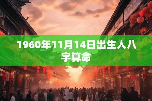1960年11月14日出生人八字算命