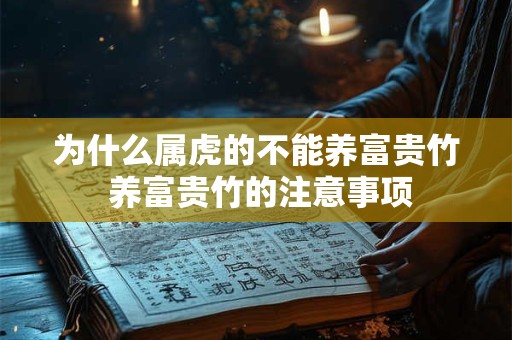 为什么属虎的不能养富贵竹 养富贵竹的注意事项