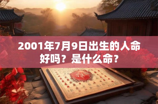 2001年7月9日出生的人命好吗？是什么命？