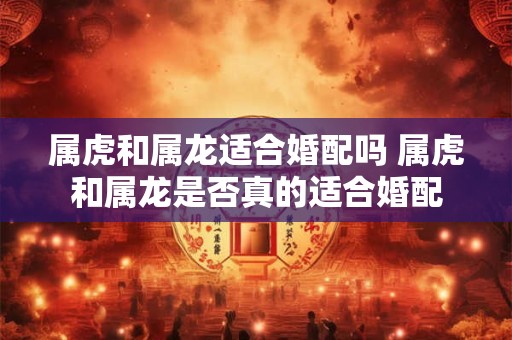 属虎和属龙适合婚配吗 属虎和属龙是否真的适合婚配 属虎和属龙适合婚配吗 属虎和属龙是否真的适合婚配