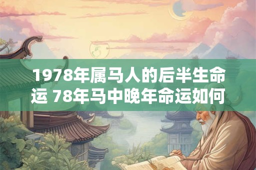 1978年属马人的后半生命运 78年马中晚年命运如何