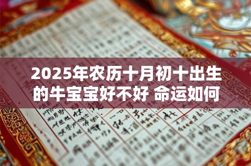 2025年农历十月初十出生的牛宝宝好不好 命运如何