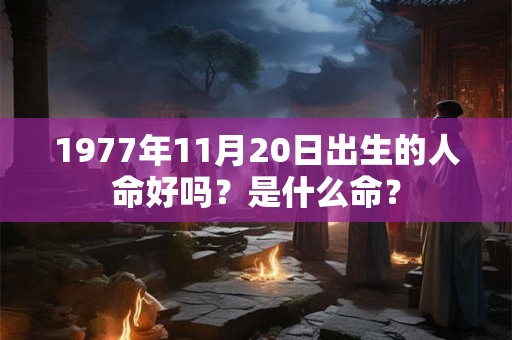 1977年11月20日出生的人命好吗？是什么命？