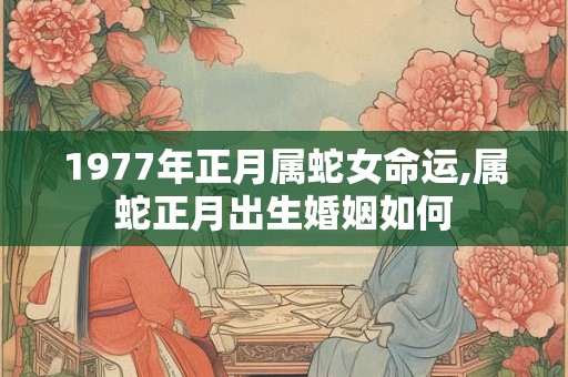 1977年正月属蛇女命运,属蛇正月出生婚姻如何