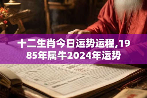 十二生肖今日运势运程,1985年属牛2024年运势