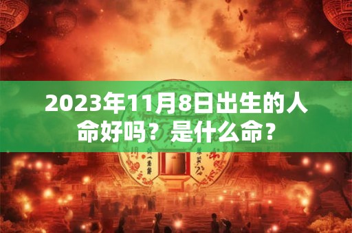 2023年11月8日出生的人命好吗？是什么命？
