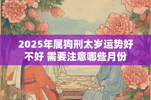 2025年属狗刑太岁运势好不好 需要注意哪些月份