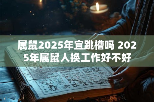 属鼠2025年宜跳槽吗 2025年属鼠人换工作好不好