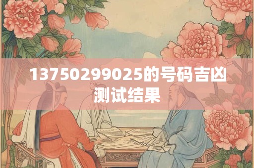 13750299025的号码吉凶测试结果