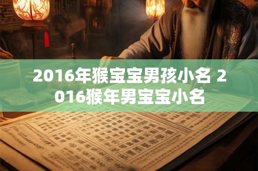 2016年猴宝宝男孩小名 2016猴年男宝宝小名