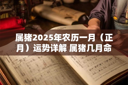 属猪2025年农历一月（正月）运势详解 属猪几月命苦
