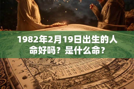 1982年2月19日出生的人命好吗？是什么命？