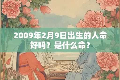 2009年2月9日出生的人命好吗？是什么命？