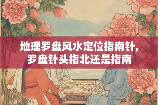 地理罗盘风水定位指南针,罗盘针头指北还是指南