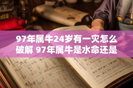 97年属牛24岁有一灾怎么破解 97年属牛是水命还是火命