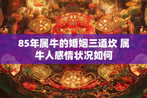 85年属牛的婚姻三道坎 属牛人感情状况如何