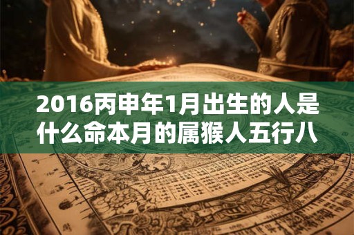 2016丙申年1月出生的人是什么命本月的属猴人五行八字查询