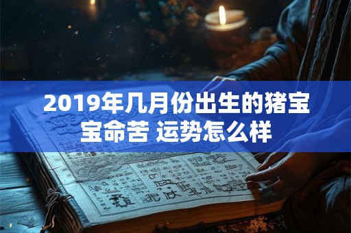 2019年几月份出生的猪宝宝命苦 运势怎么样