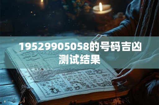 19529905058的号码吉凶测试结果