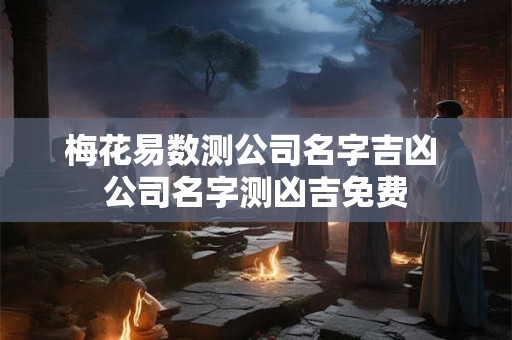 梅花易数测公司名字吉凶 公司名字测凶吉免费