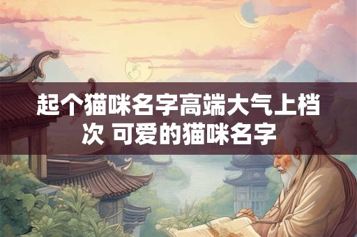 起个猫咪名字高端大气上档次 可爱的猫咪名字