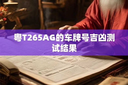 粤T265AG的车牌号吉凶测试结果