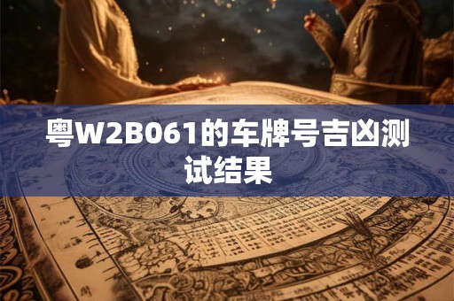粤W2B061的车牌号吉凶测试结果