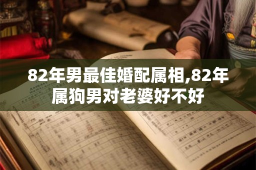 82年男最佳婚配属相,82年属狗男对老婆好不好