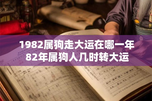 1982属狗走大运在哪一年 82年属狗人几时转大运