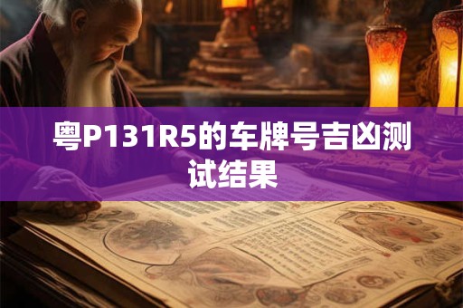 粤P131R5的车牌号吉凶测试结果