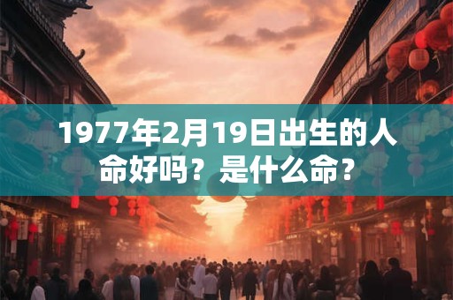 1977年2月19日出生的人命好吗？是什么命？