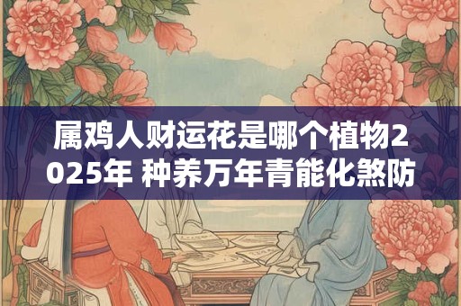 属鸡人财运花是哪个植物2025年 种养万年青能化煞防小人
