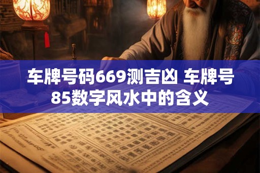 详细阅读:车牌号码669测吉凶 车牌号85数字风水中的含义 车牌号码669测吉凶 车牌号85数字风水中的含义