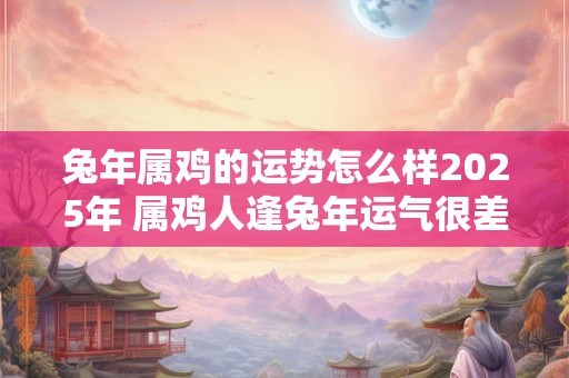 兔年属鸡的运势怎么样2025年 属鸡人逢兔年运气很差吗