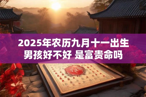 2025年农历九月十一出生男孩好不好 是富贵命吗