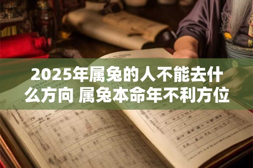 2025年属兔的人不能去什么方向 属兔本命年不利方位