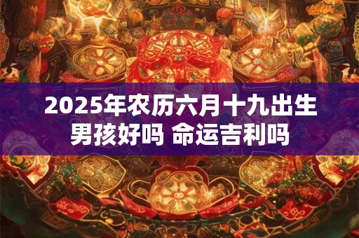 2025年农历六月十九出生男孩好吗 命运吉利吗 2025年农历六月十九出生男孩好吗 命运吉利吗