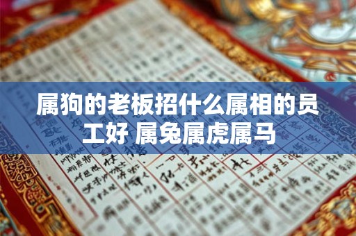 属狗的老板招什么属相的员工好 属兔属虎属马 属狗的老板招什么属相的员工好 属兔属虎属马