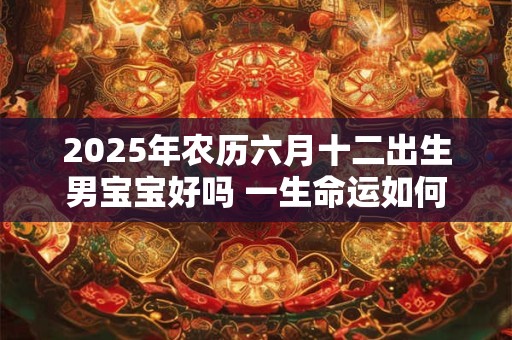 2025年农历六月十二出生男宝宝好吗 一生命运如何