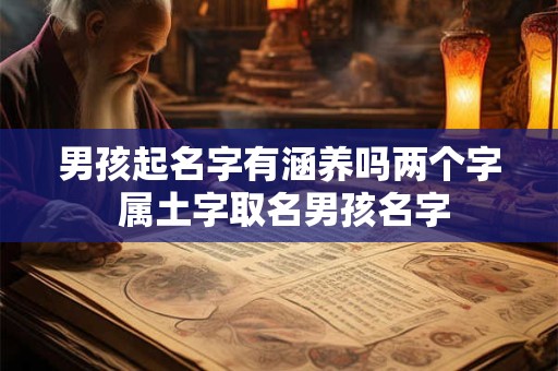 男孩起名字有涵养吗两个字 属土字取名男孩名字