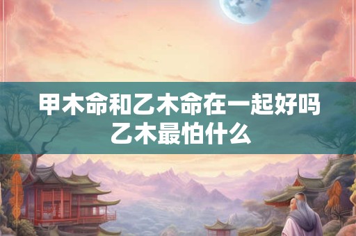 甲木命和乙木命在一起好吗 乙木最怕什么