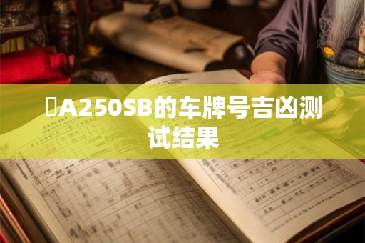 滬A250SB的车牌号吉凶测试结果