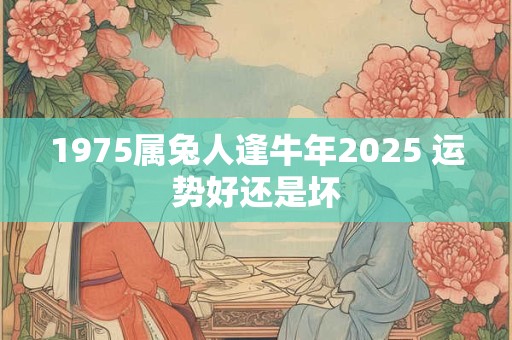 1975属兔人逢牛年2025 运势好还是坏