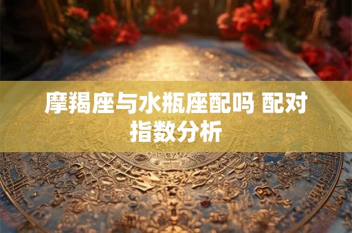 摩羯座与水瓶座配吗 配对指数分析