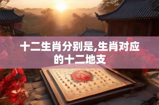 十二生肖分别是,生肖对应的十二地支