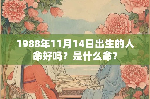 1988年11月14日出生的人命好吗？是什么命？