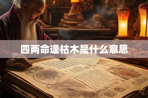 四两命逢枯木是什么意思